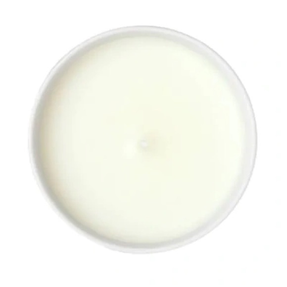 Gucci Richard Ginori 1735 Snake And Cat Soave Amore Candle - Picture 6 of 6